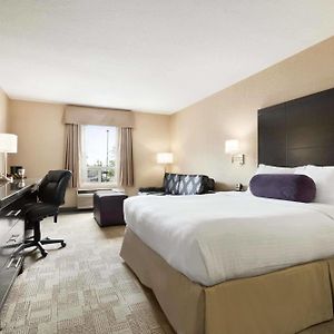 Queen Room Sofa Bed Disability Access or Non-Smoking